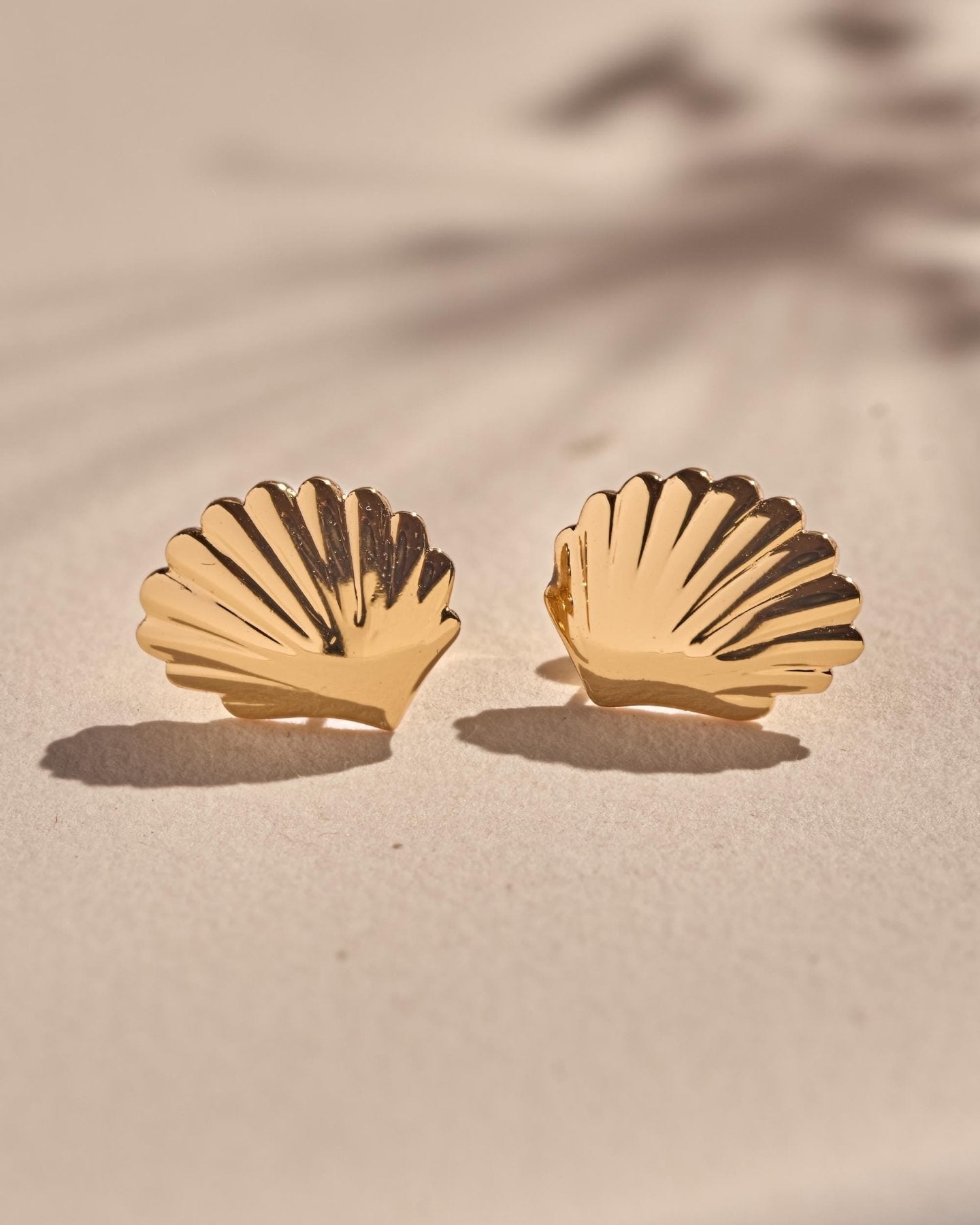 Gold seashell stud earrings photographed as a matching pair with their polished ridged surface visible.