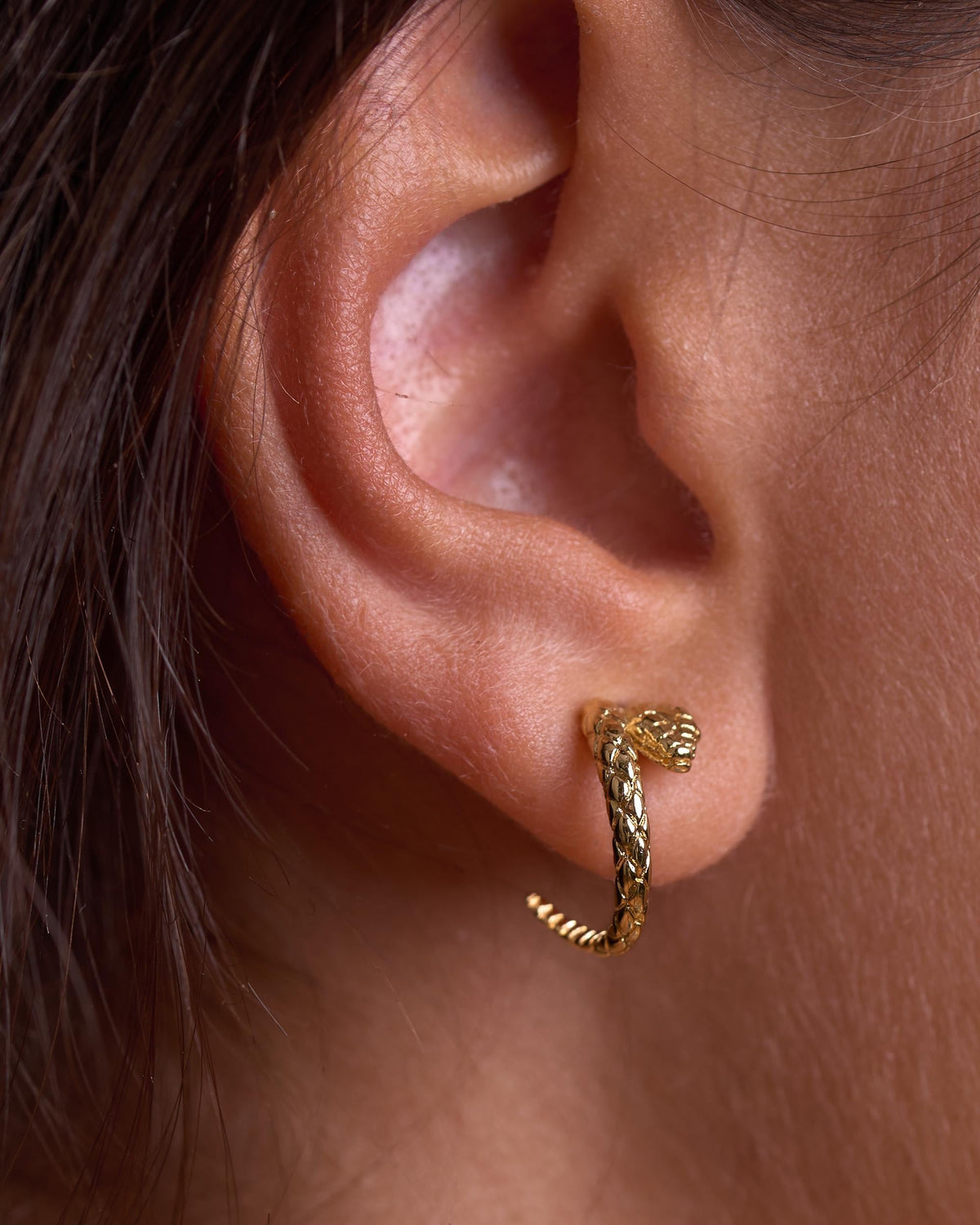 Gold Snake Hoop Stud Earrings, Serpent Head Studs with Snakeskin Texture -STD165