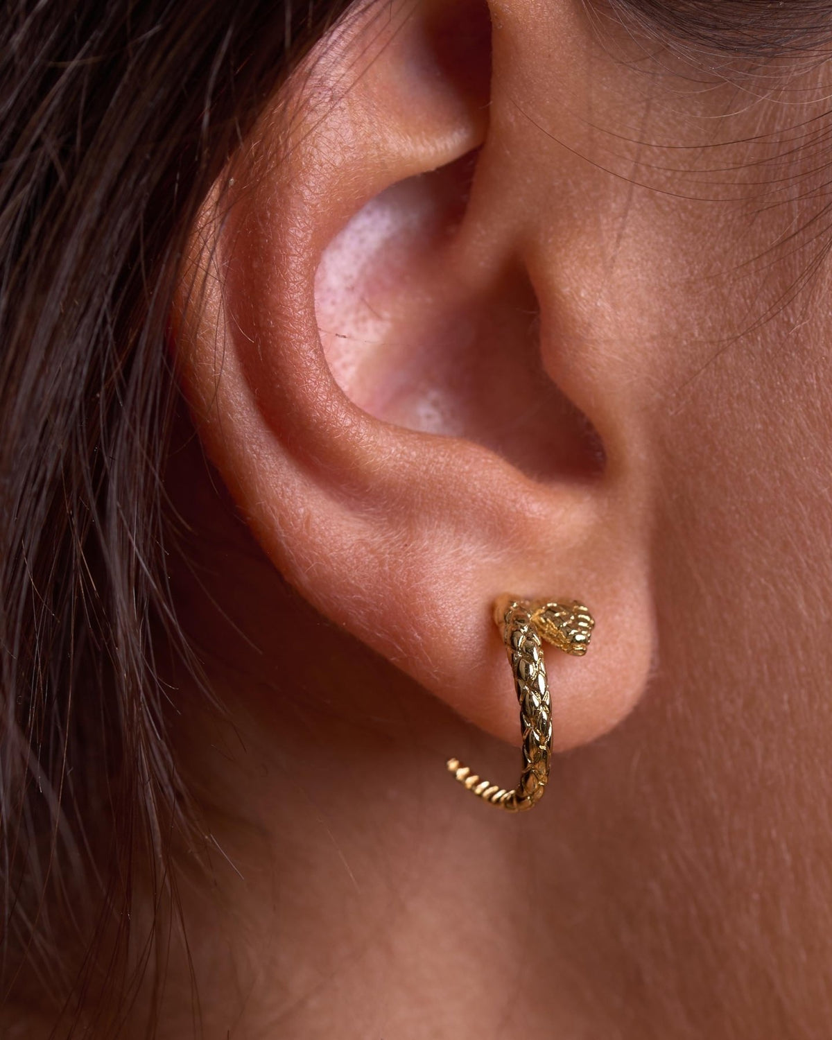 Caley Snake Hoops - GoldALLBackUpItemsLunai Jewelry