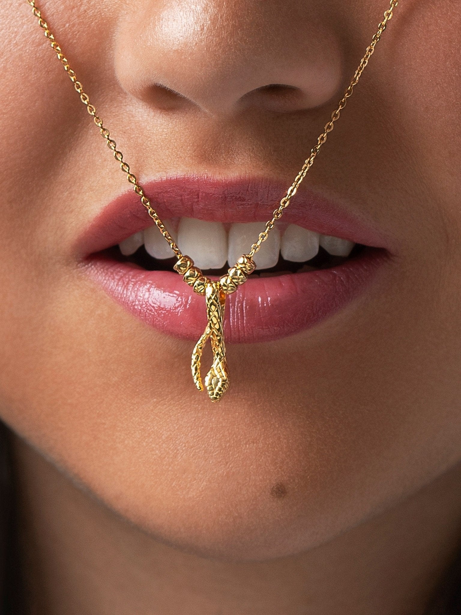 Danae Silver Snake Chain Necklace - 24k Gold Plated925 Silver ChainChain NecklaceLunai Jewelry