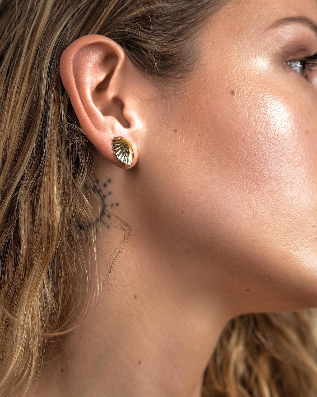 Diva Stud Earrings - GoldALLBackUpItemsLunai Jewelry