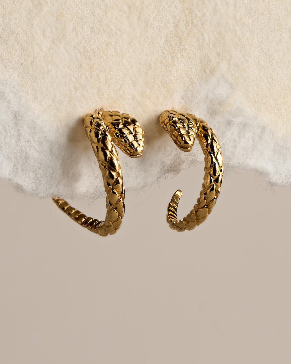 Pair of 24K gold plated snake hoop stud earrings on textured paper