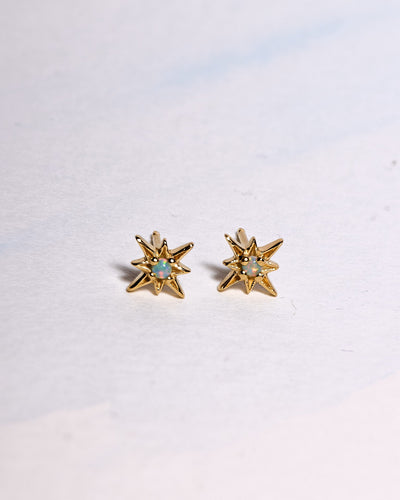 Olympia Starburst Stud Earrings - 925 Sterling SilverAnniversary GiftBackUpItemsLunai Jewelry