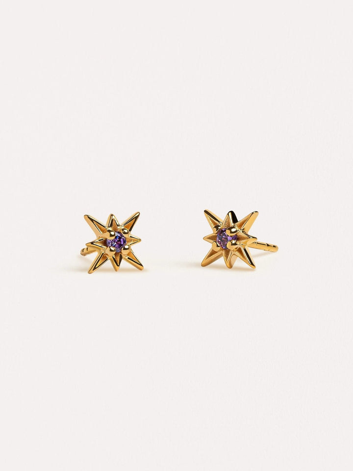 Unira Amethyst Starburst Earrings - 925 Silver ShinyAmethyst EarringsBackUpItemsLunai Jewelry