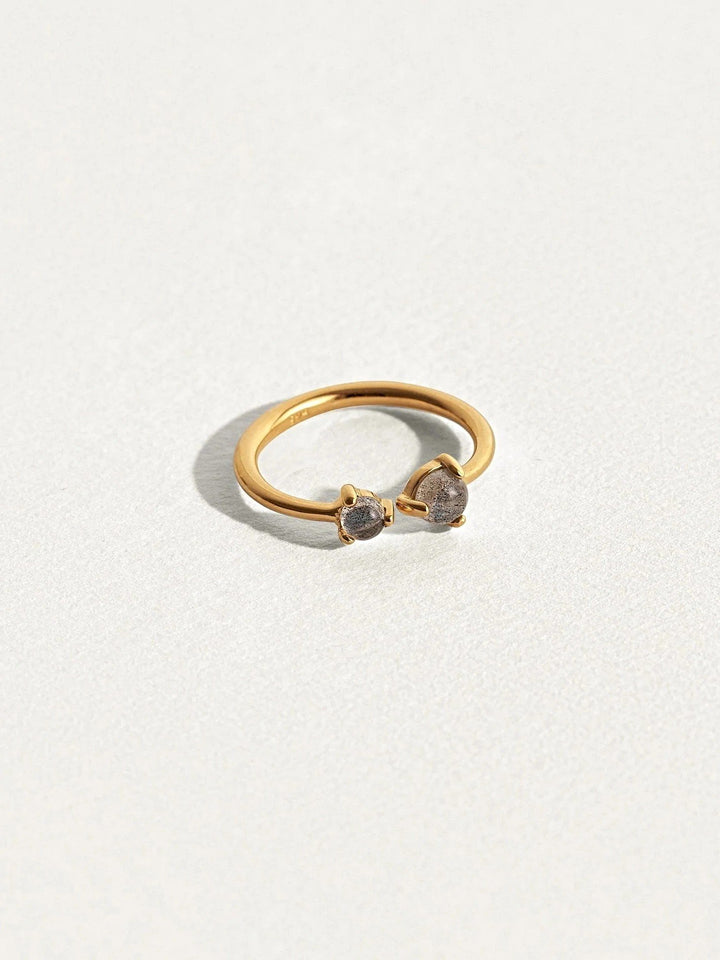 Pam Double Stone Ring - 24K Gold Vermeil5Adjustable RingBackUpItemsLunai Jewelry