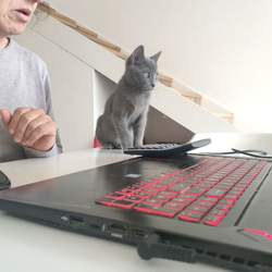 Norma Beatriz Manazza Cuenca